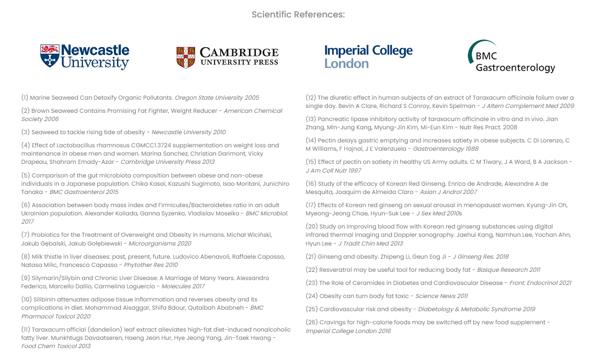 Screenshot 2024-08-13 214620